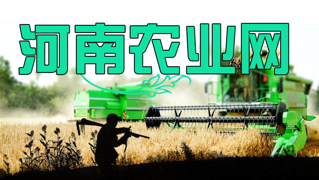 河南农业网